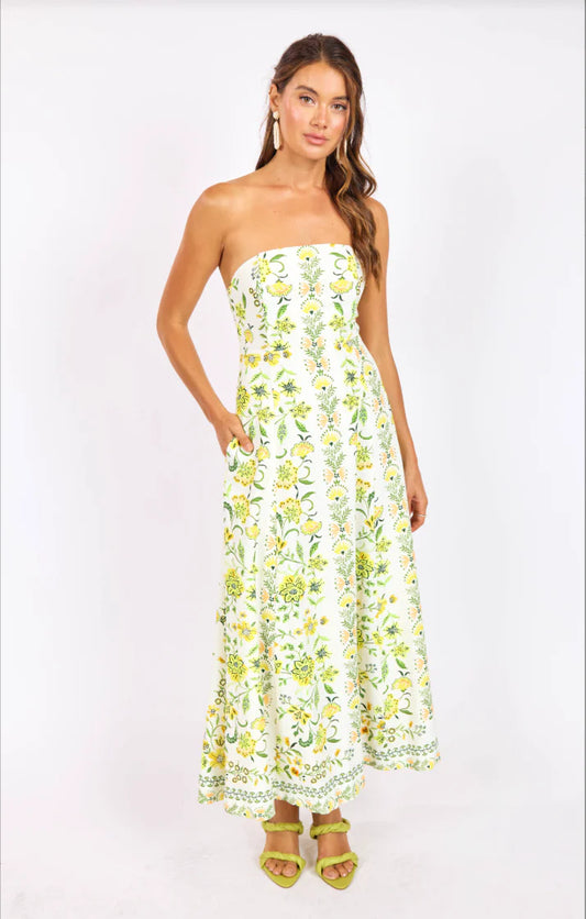 Dandelion Tube Maxi Dress