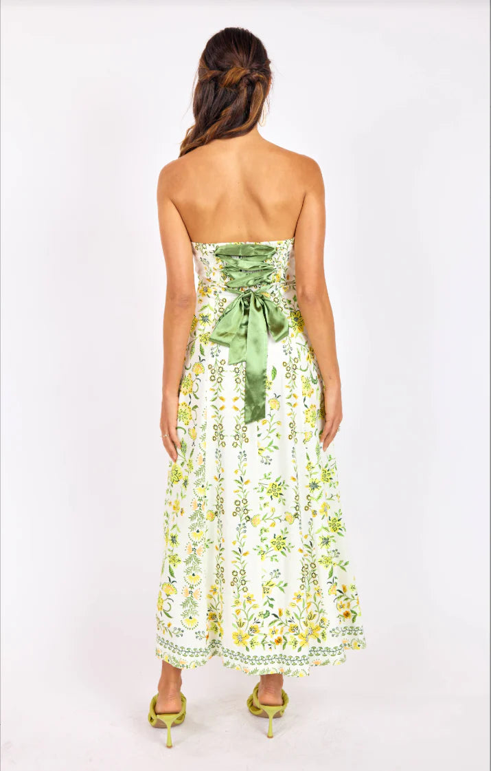 Dandelion Tube Maxi Dress