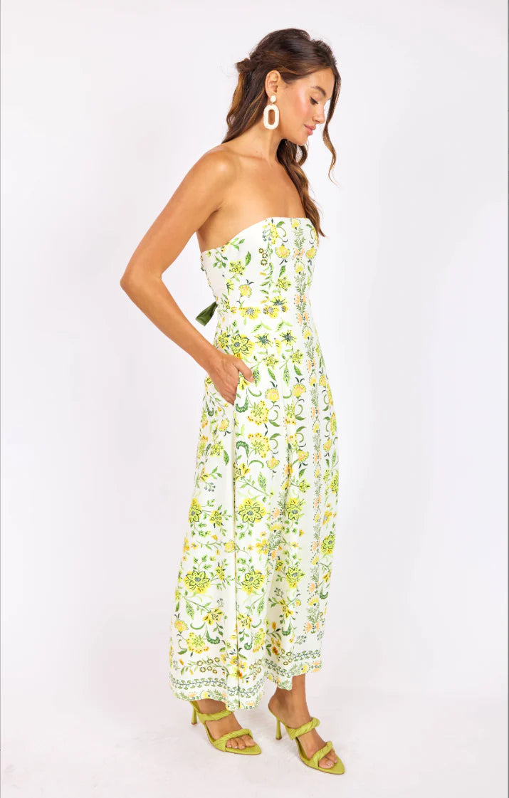 Dandelion Tube Maxi Dress